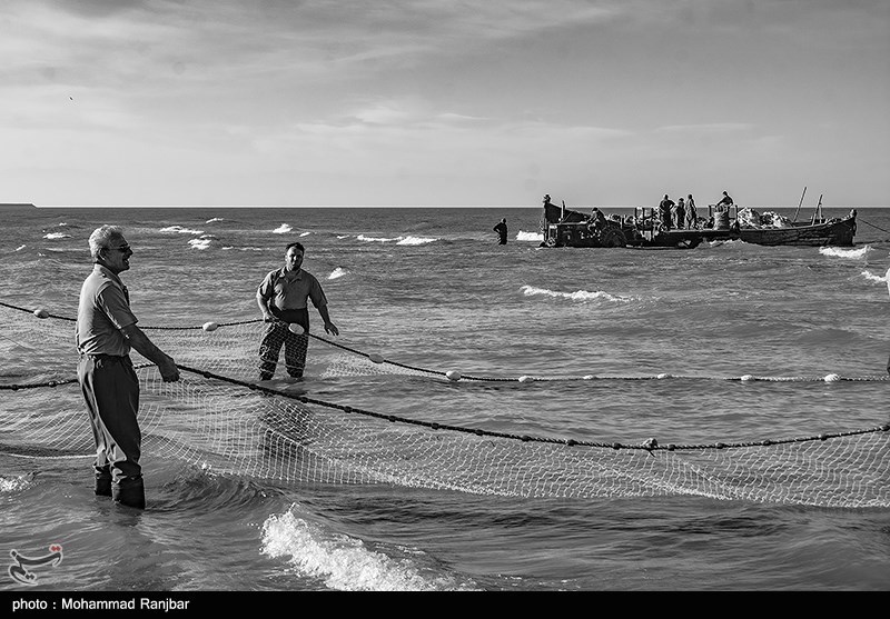 پره گیری صیادان انزلی