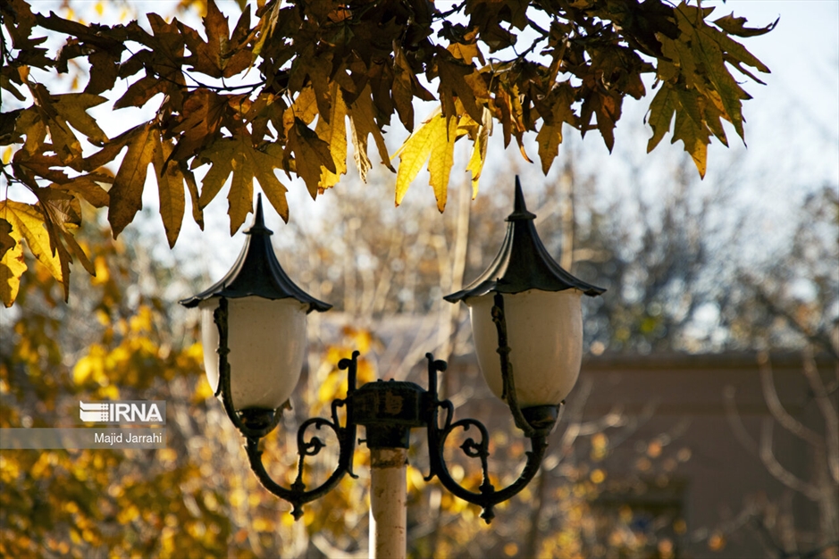 پاییز باغ پهلوان پور