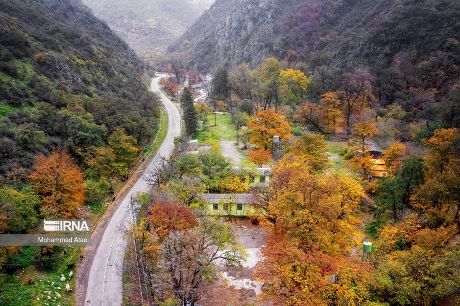 پاییز در جنگل های هیرکانی