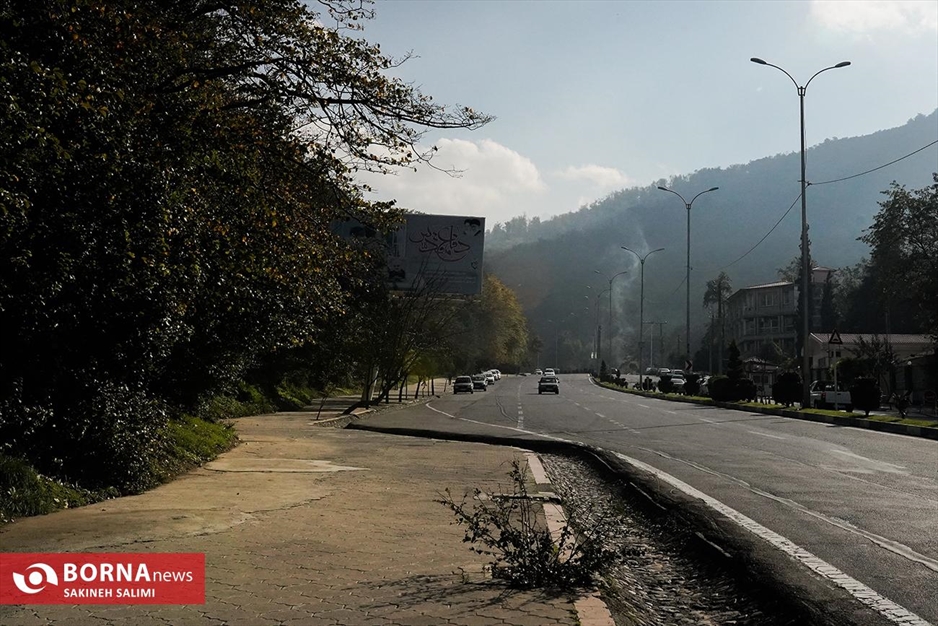 پارک جنگلی ناهارخوران