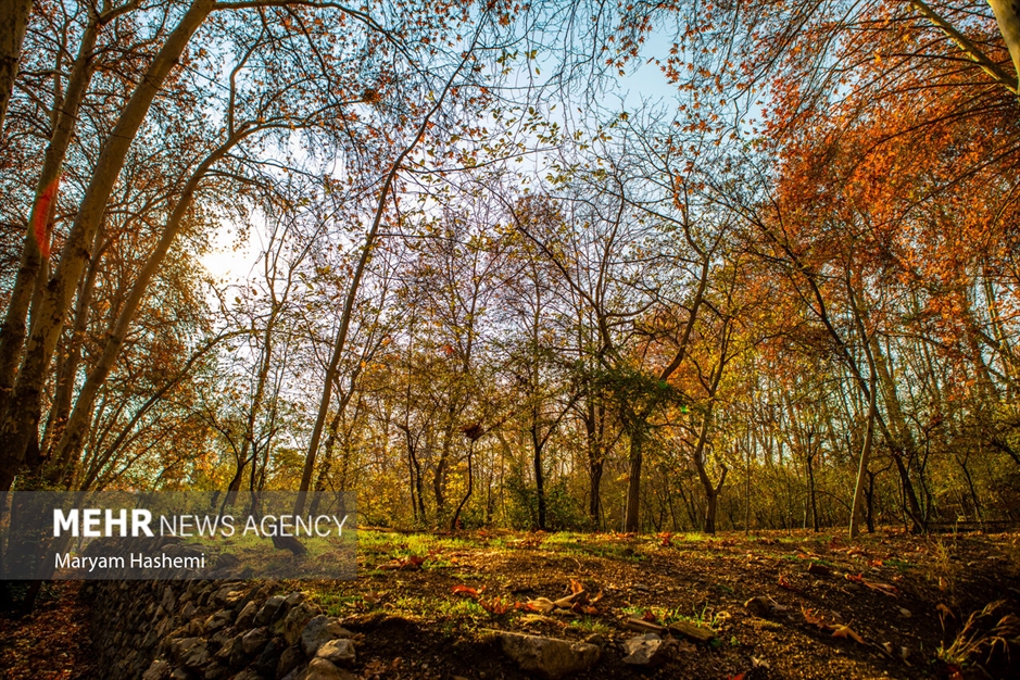 طبیعت پاییزی تهران