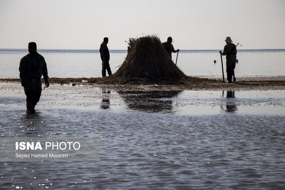 نگهبانان تالاب