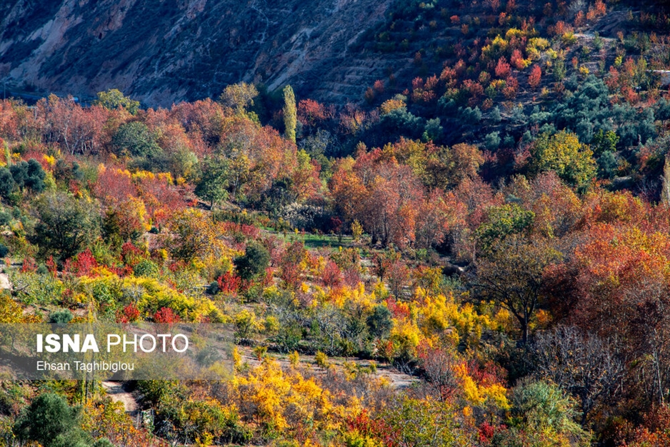 پاییز هزار رنگ در روستای «شیت»