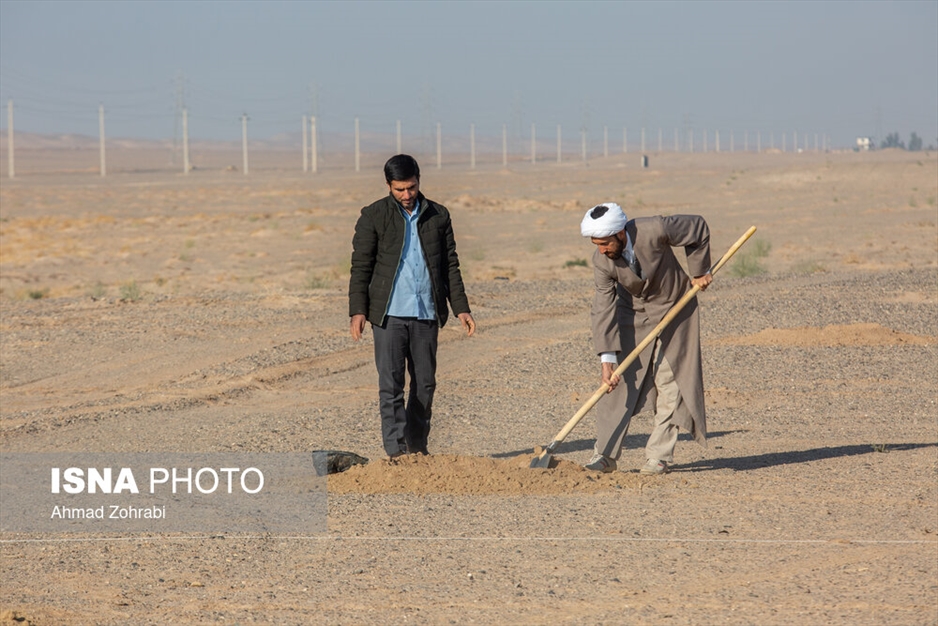 آغاز پویش کاشت یک میلیارد درخت - قم