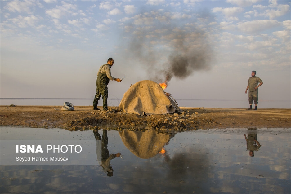 نگهبانان تالاب