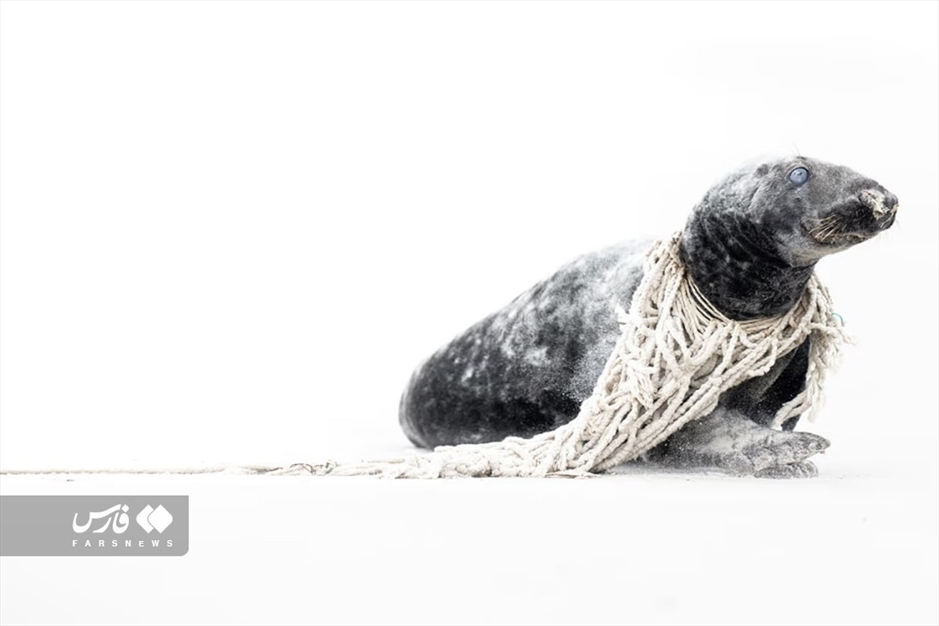 عکاسی طبیعت؛ سرشار از زندگی و پویایی