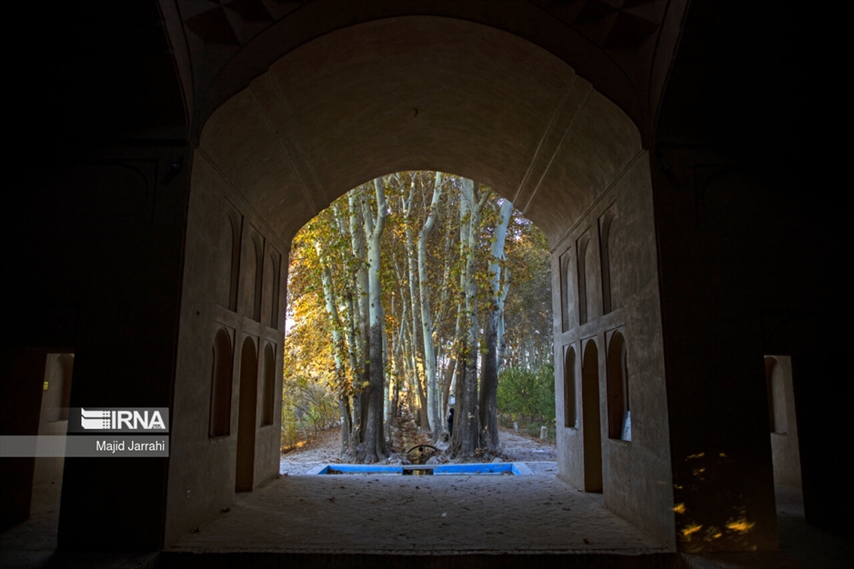 پاییز باغ پهلوان پور