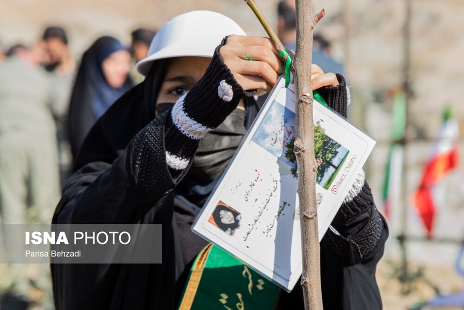 کاشت پنج هزار نهال به یاد کودکان و زنان شهید غزه
