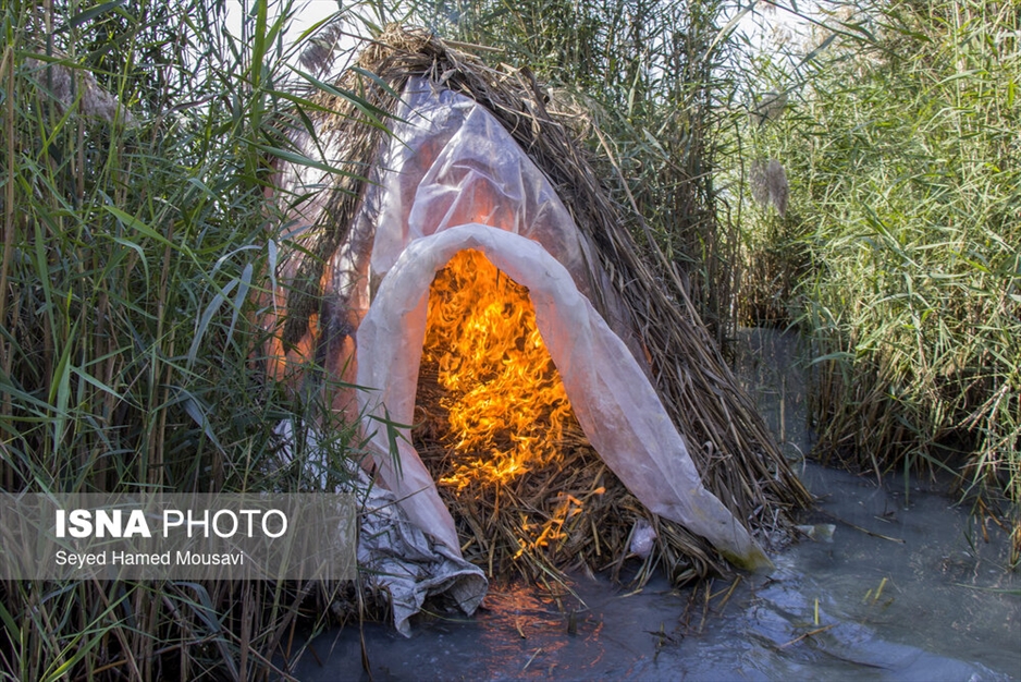 نگهبانان تالاب