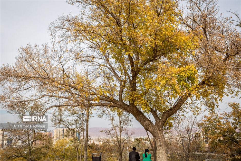 پاییز رنگارنگ تبریز