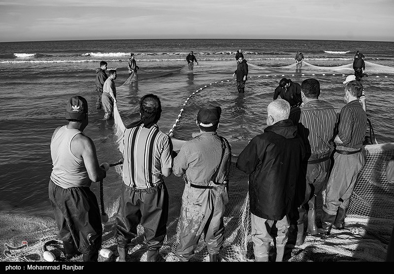 پره گیری صیادان انزلی