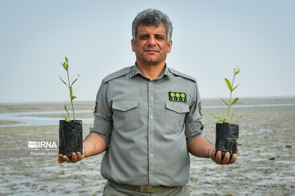 پویش مردمی کاشت یک میلیارد درخت