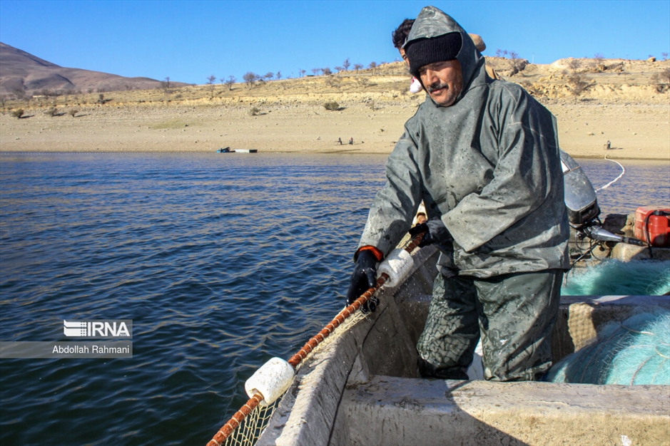  ماهیگیری در سَد