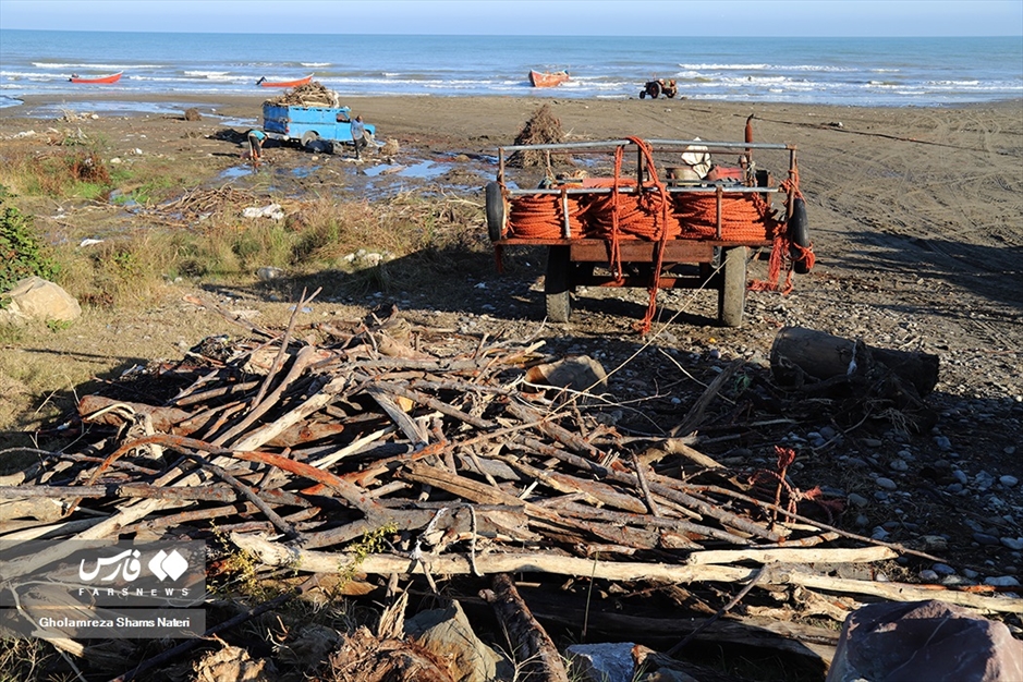 تور صیادان به درخت می خورد!