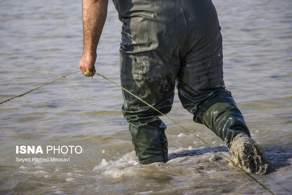 نگهبانان تالاب