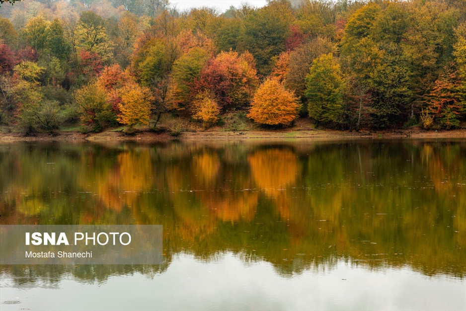 طبیعت پاییزی دریاچه سد برنجستانک سوادکوه