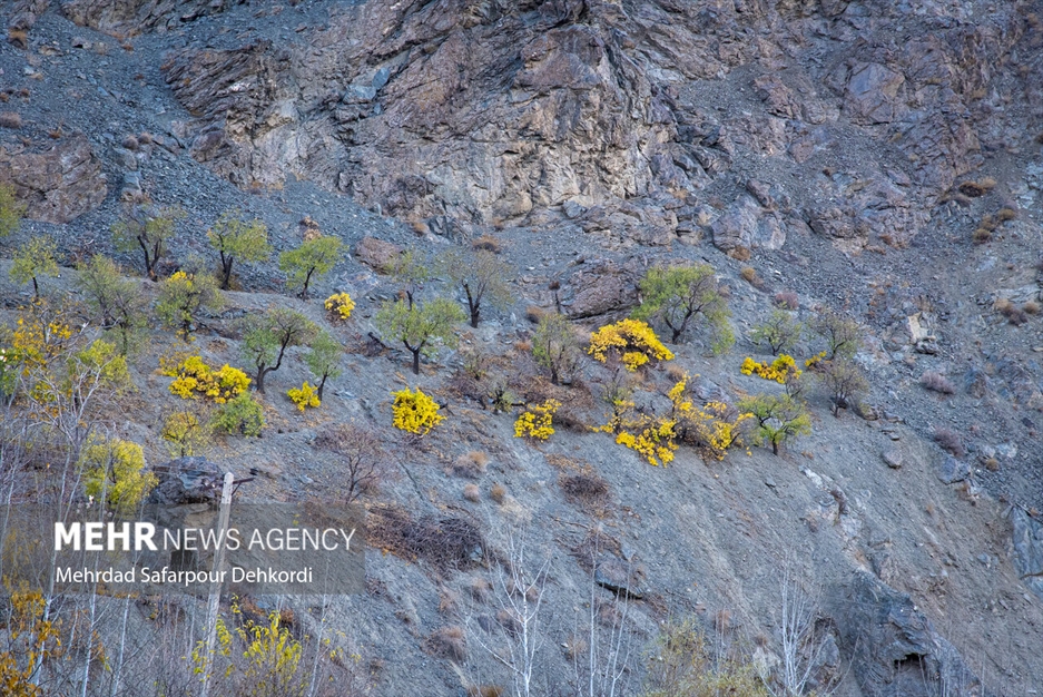 طبیعت پاییزی زاینده رود