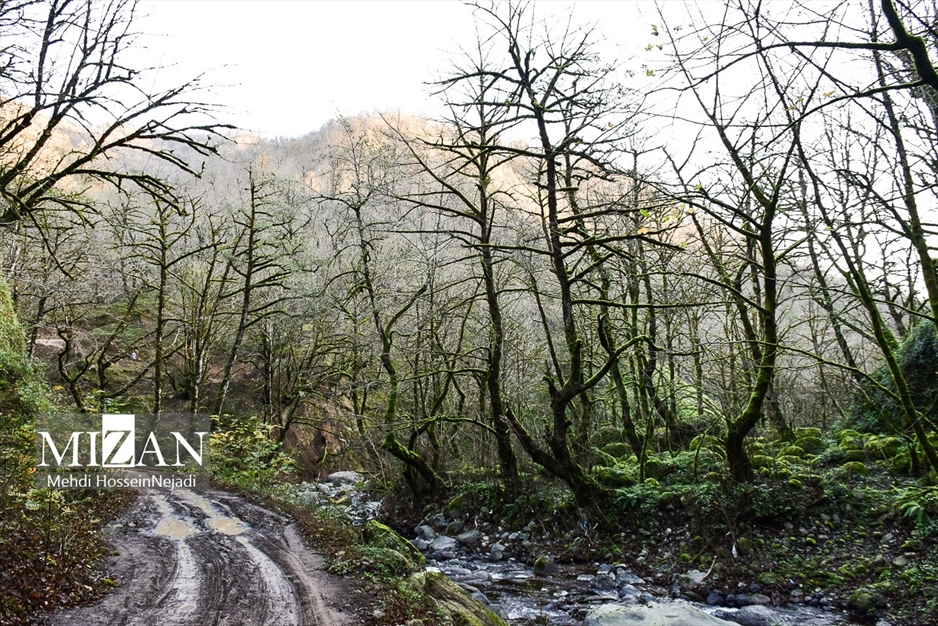 مناظر پاییزی در آبشار لاتون