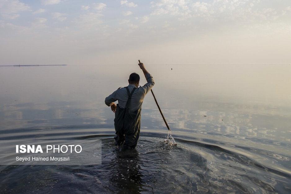 نگهبانان تالاب