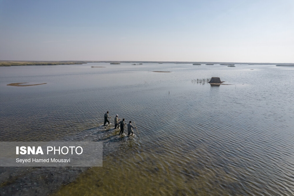 نگهبانان تالاب