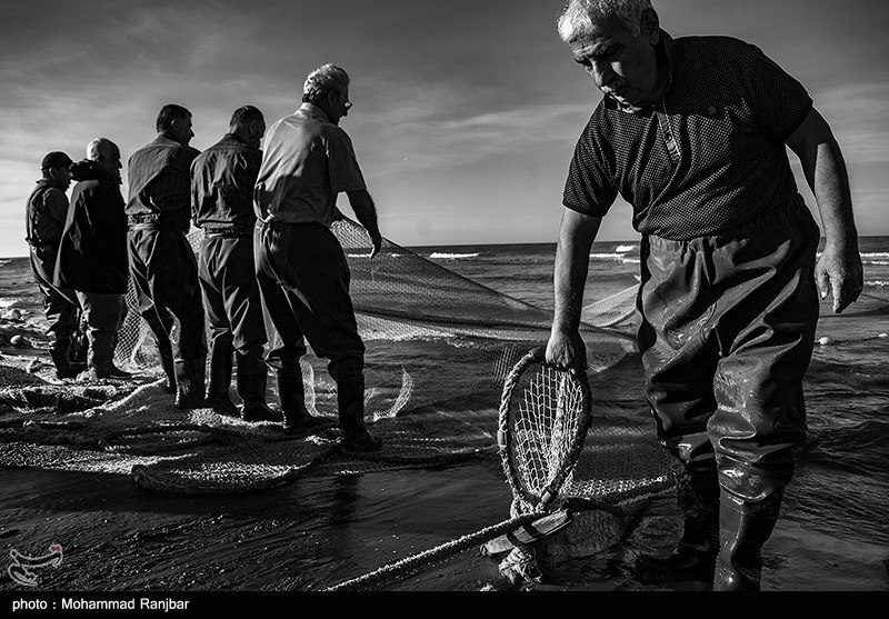 پره گیری صیادان انزلی
