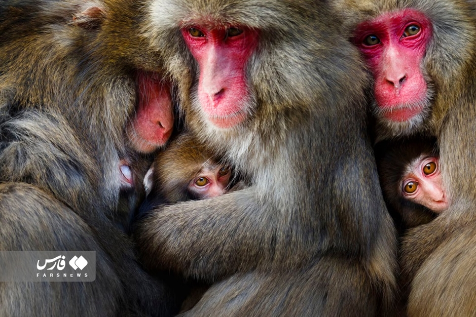 عکاسی طبیعت؛ سرشار از زندگی و پویایی