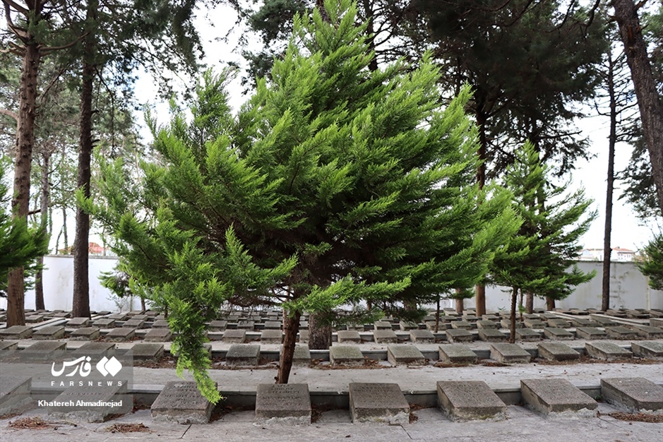 «گورستان لهستانی» در گیلان