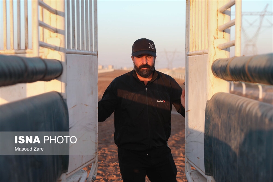 دهمین هفته کورس پاییزه اسب دوانی یزد