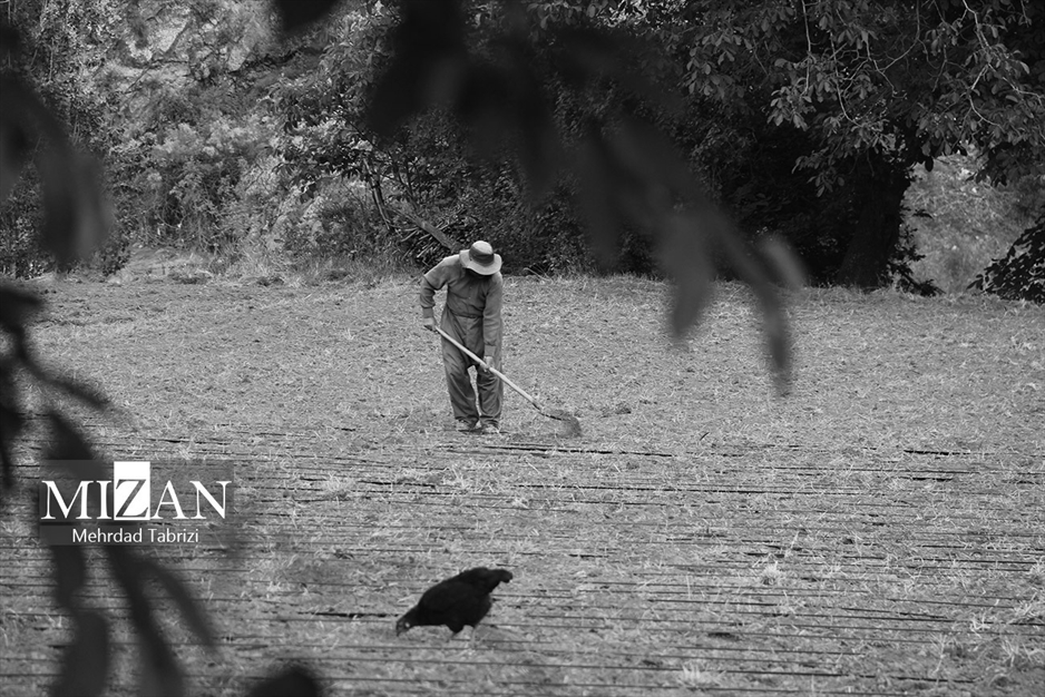 تنهایی؛ انتخابی آگاهانه یا جبر زمانه