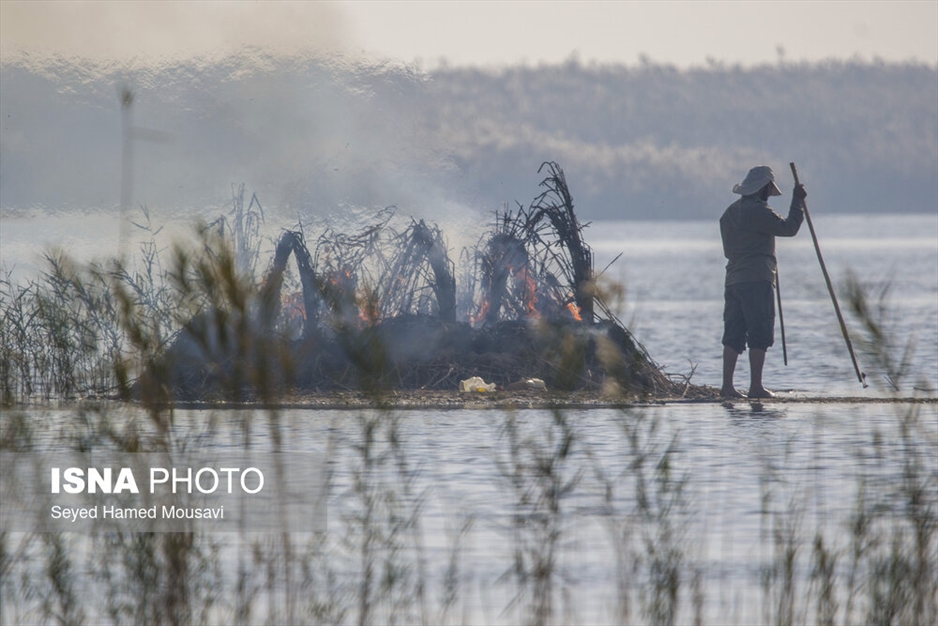 نگهبانان تالاب