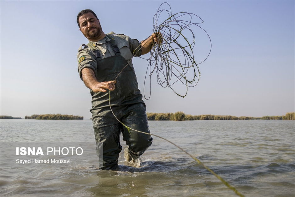 نگهبانان تالاب