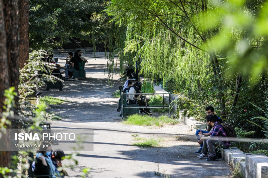 این روزهای دانشگاه تهران و صنعتی شریف