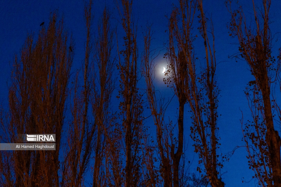 پاییز رنگارنگ تبریز