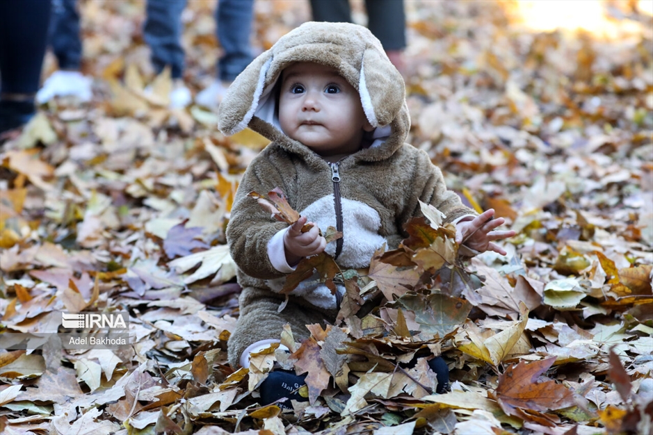 جشنواره برگریزان هگمتانه