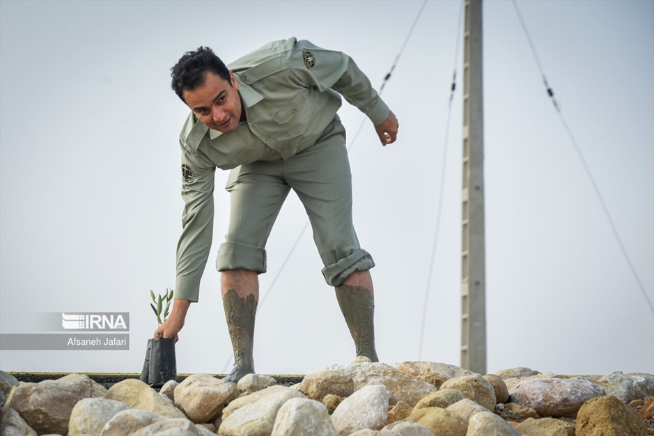 پویش مردمی کاشت یک میلیارد درخت