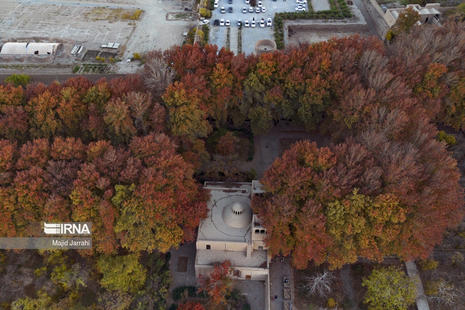 پاییز باغ پهلوان پور