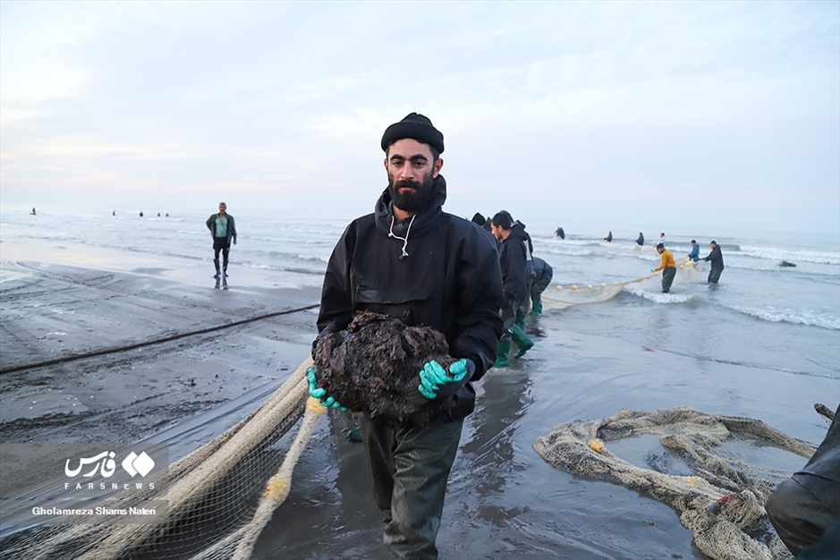 تور صیادان به درخت می خورد!