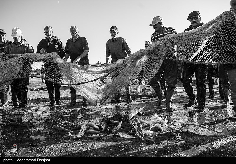 پره گیری صیادان انزلی