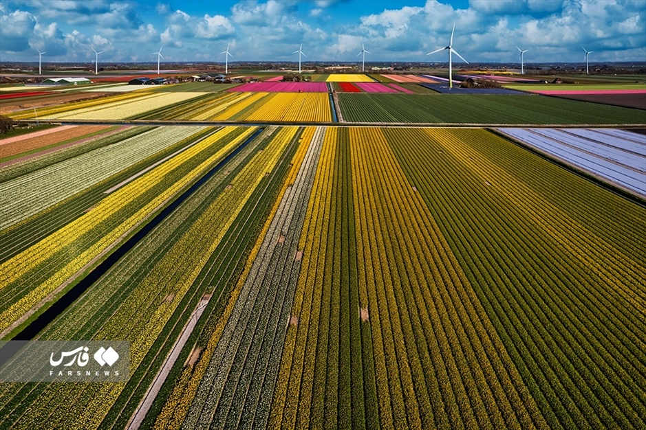 هلند «کشور لاله‌ها»
