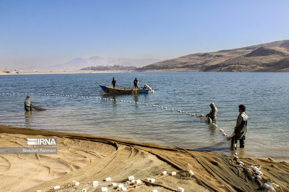  ماهیگیری در سَد