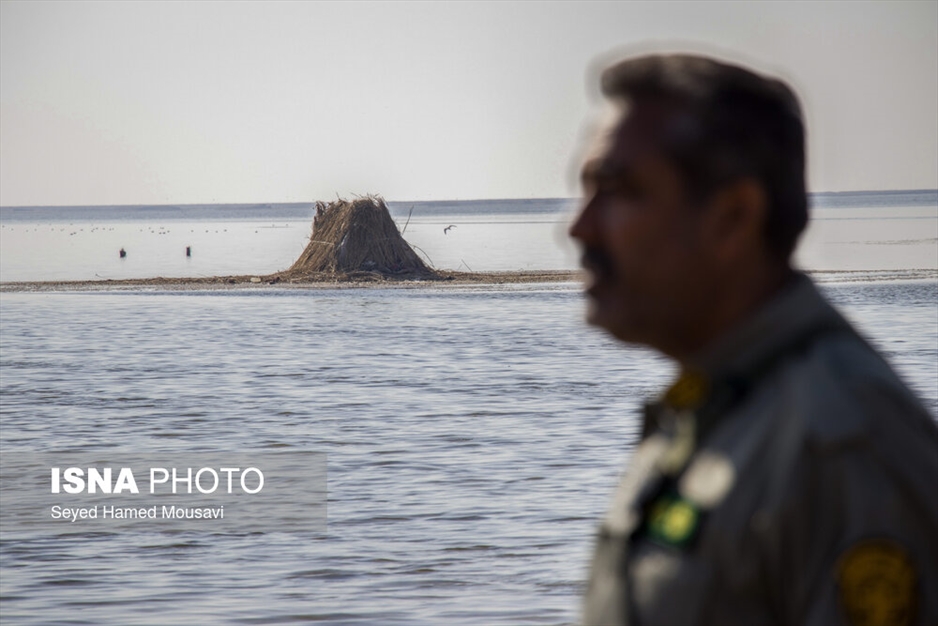 نگهبانان تالاب