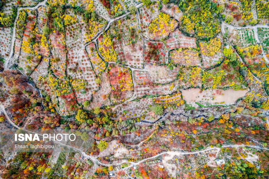 پاییز هزار رنگ در روستای «شیت»