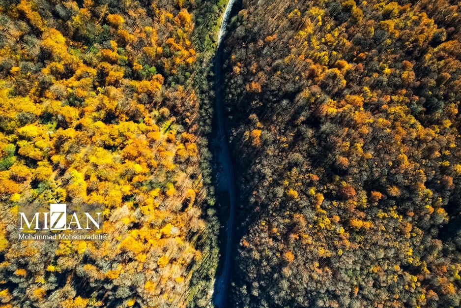 پاییز در جاده عباس‌آباد