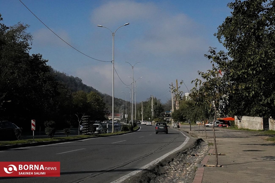 پارک جنگلی ناهارخوران