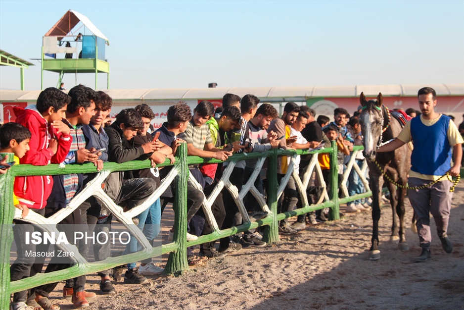 دهمین هفته کورس پاییزه اسب دوانی یزد