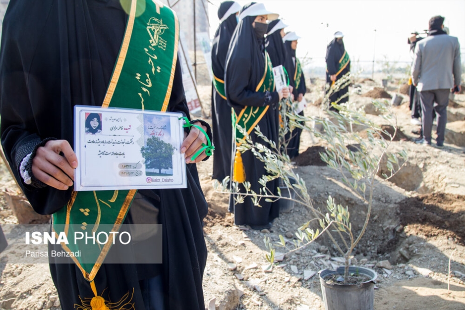 کاشت پنج هزار نهال به یاد کودکان و زنان شهید غزه