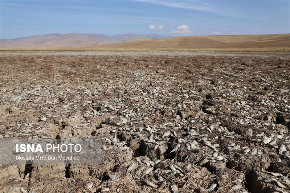 شهرستان هریس تشنه آب
