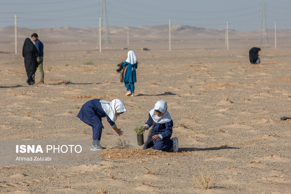 آغاز پویش کاشت یک میلیارد درخت - قم