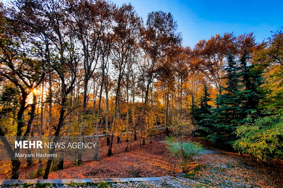 طبیعت پاییزی تهران