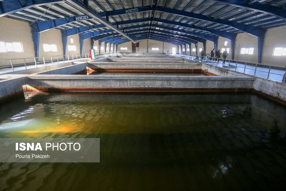 بازدید خبرنگاران از تصفیه خانه شیخی جان - همدان